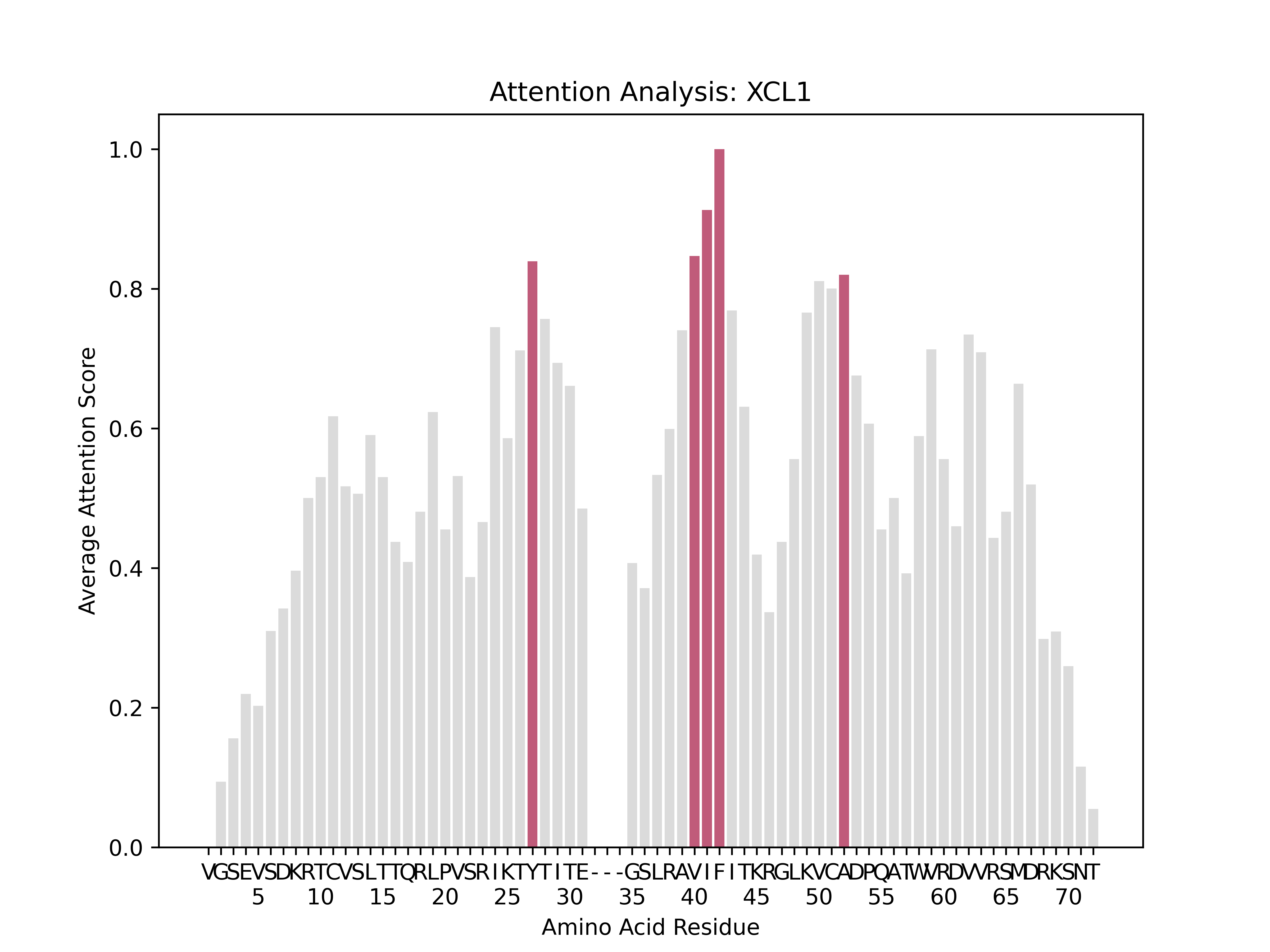 XCL1 Average Attention